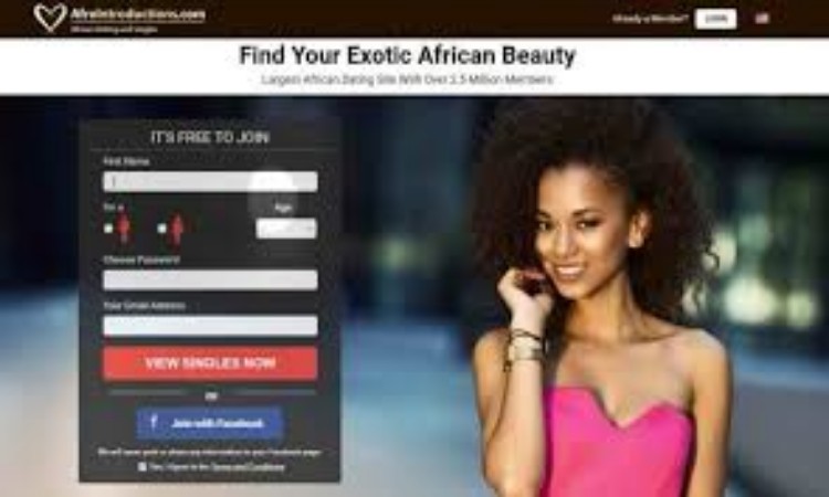 AfroIntroductions Login Page - AfroIntroductions Account Login Help - www.afroIntroductions.com/login