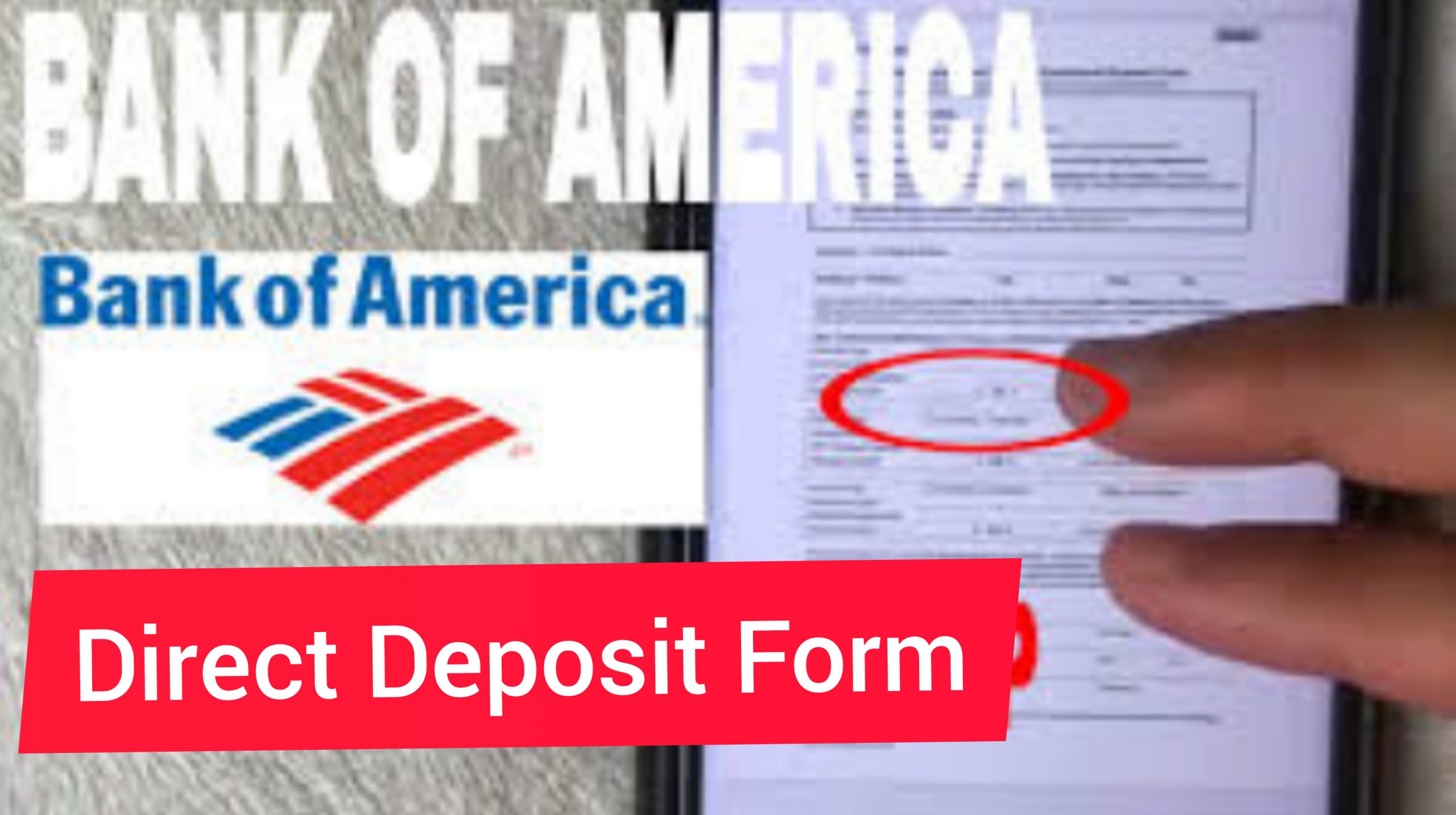 Bank Of America Direct Deposit Form & Set Up Guide
